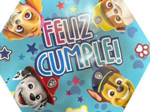 Piñata De Cumpleaños Paw Patrol Turquesa