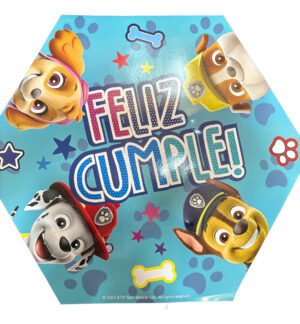 Piñata De Cumpleaños Paw Patrol Turquesa
