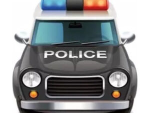 Piñata De Cumpleaños Carro Policía 3 D